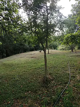 Satılır torpaq sahəsi 4 m² — Lerik 4.00 m²