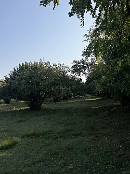 Satılır torpaq sahəsi 10 m² — Qəbələ 10.00 m²