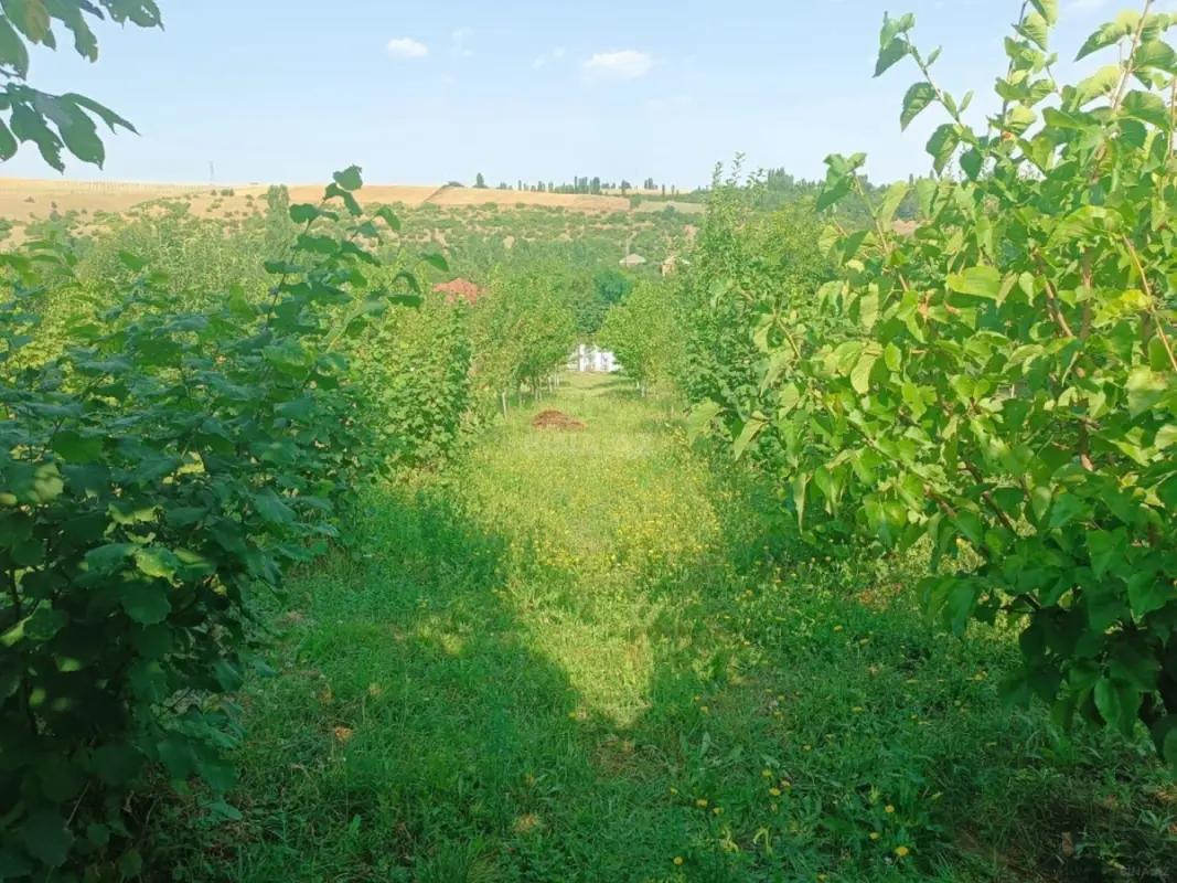 Satılır torpaq sahəsi 30 m²