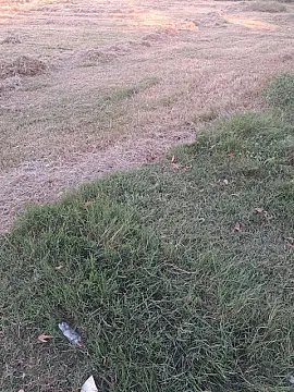 Satılır torpaq sahəsi 200 m² — Göyçay 200.00 m²