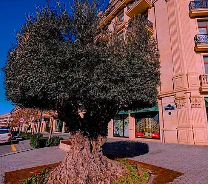 Satılır 2 otaqlı mənzil 90 m² — Bakı 2 otaq 90.00 m²