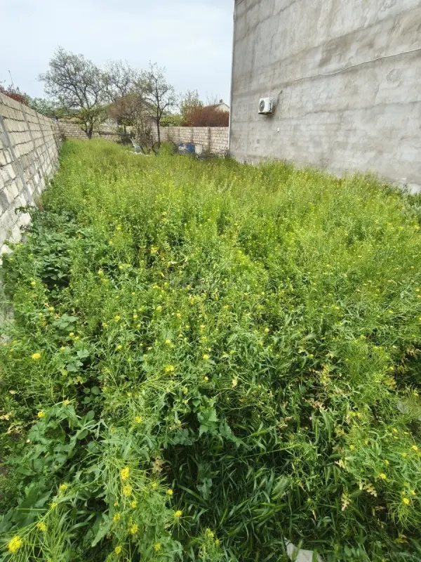 Satılır torpaq sahəsi 3.5 m²