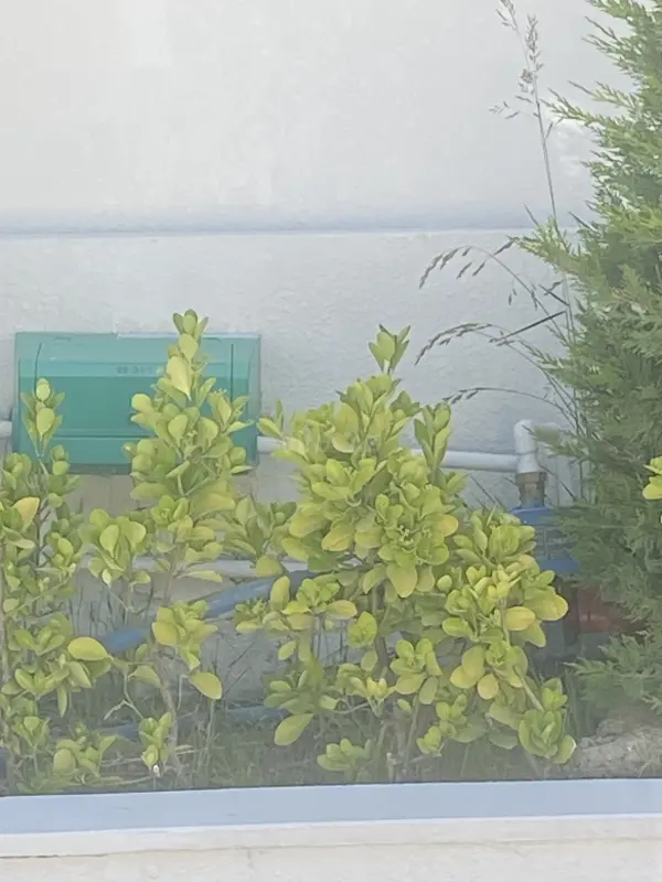 Satılır torpaq sahəsi 6.4 m²