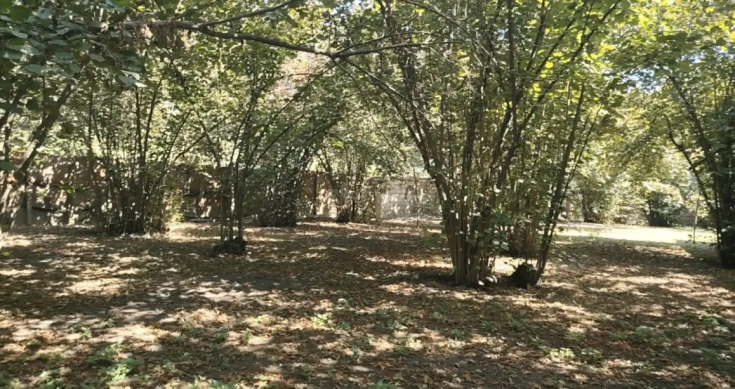 Satılır torpaq sahəsi 5 m²