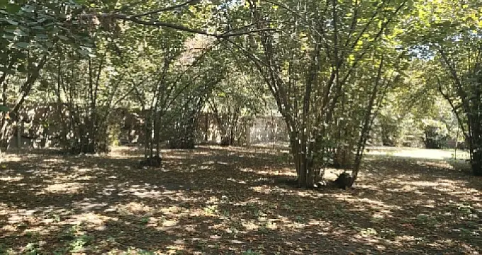 Satılır torpaq sahəsi 5 m² — Qəbələ 5.00 m²