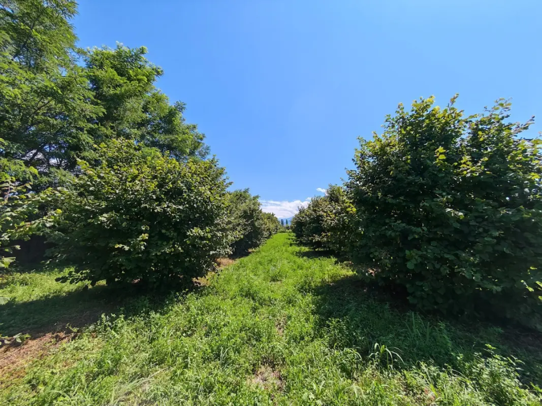 Satılır torpaq sahəsi 100 m²