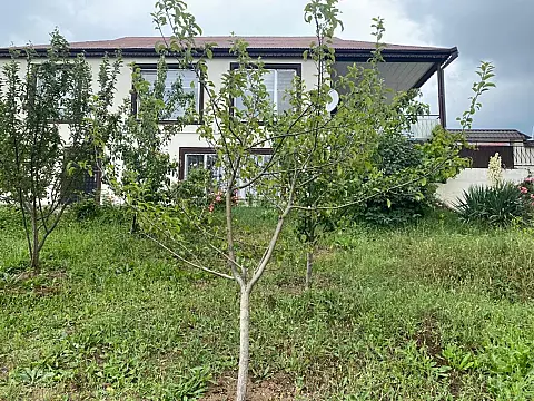Satılır 4 otaqlı həyət evi 140 m² — Şamaxı 4 otaq 140.00 m²
