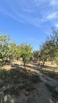 Satılır torpaq sahəsi 3.5 m² — Bakı, Novxanı 3.50 m²
