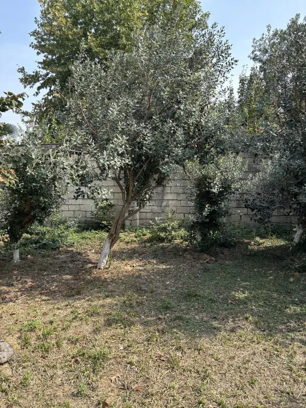 Satılır torpaq sahəsi 6 m²