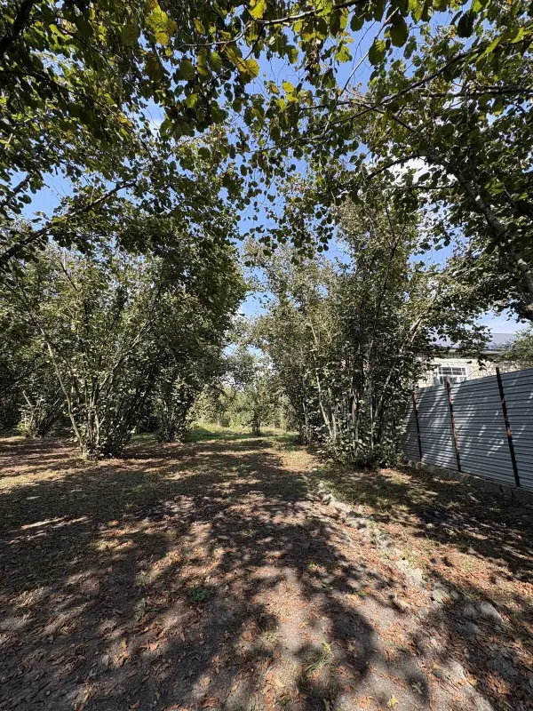 Satılır torpaq sahəsi 10 m²