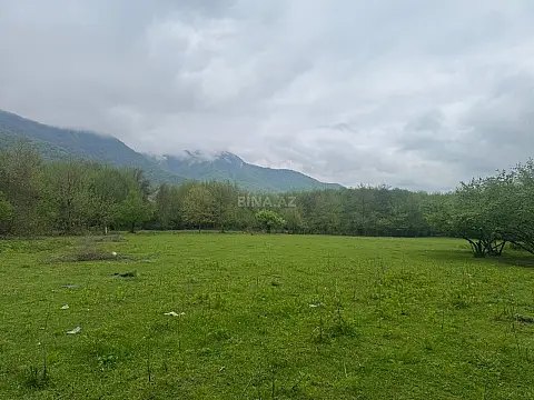 Satılır torpaq sahəsi 71 m² — Qəbələ 71.00 m²