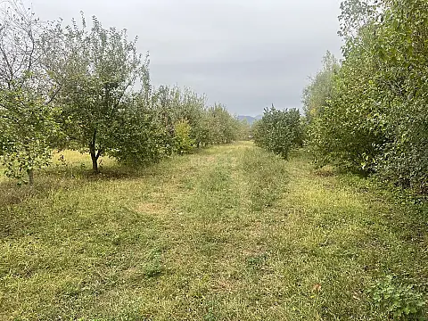Satılır torpaq sahəsi 20 m² — Qəbələ 20.00 m²