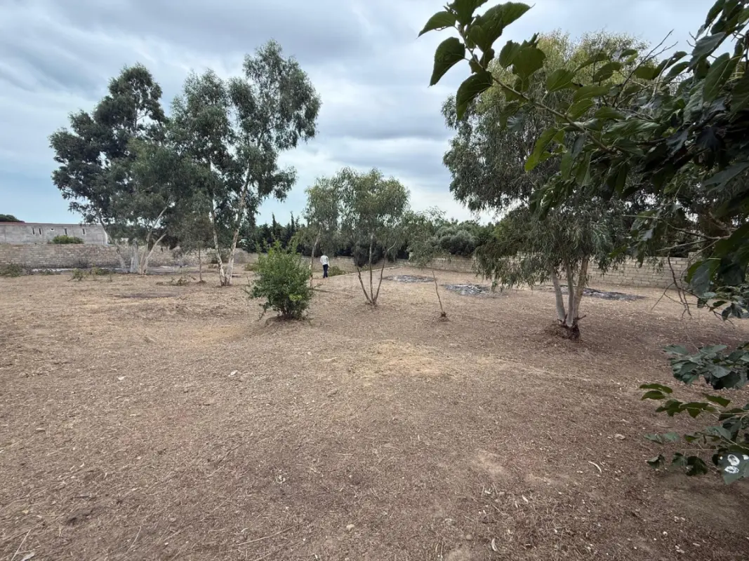 Satılır torpaq sahəsi 6 m²