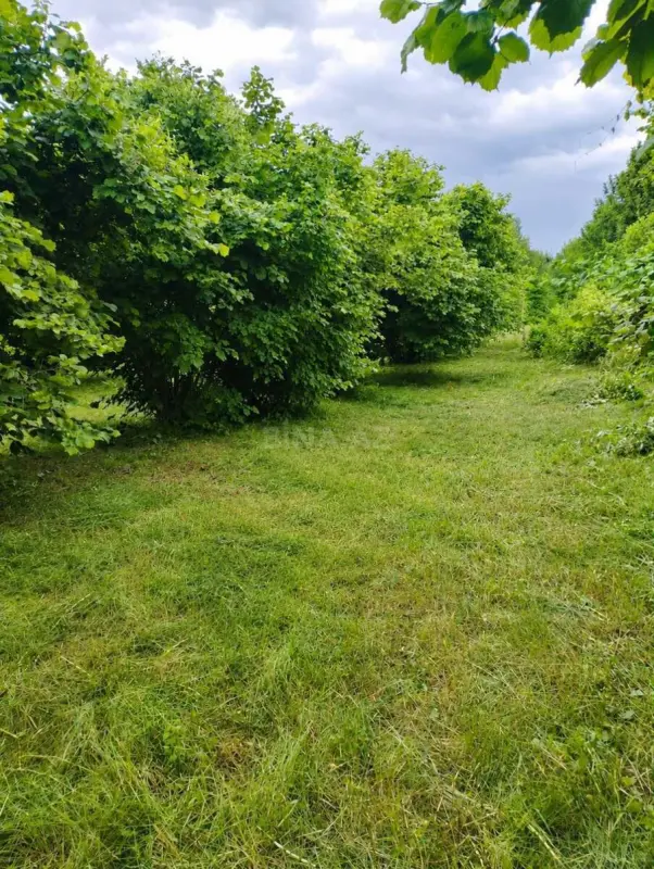 Satılır torpaq sahəsi 72 m²