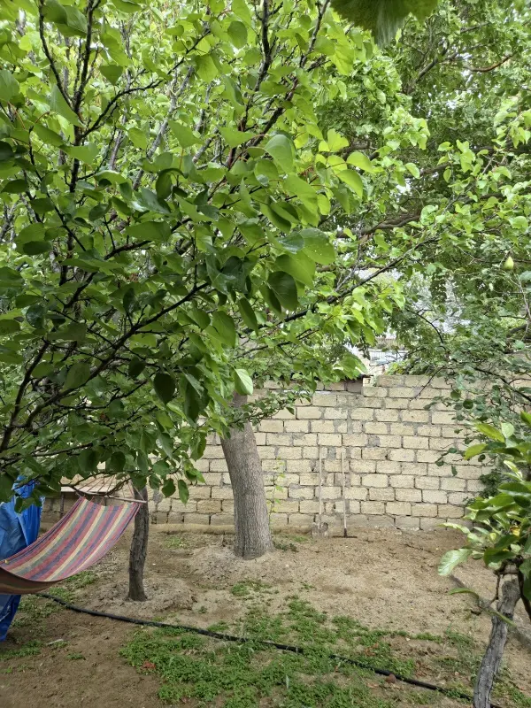 Kirayə verilir 4 otaqlı həyət evi 100 m²