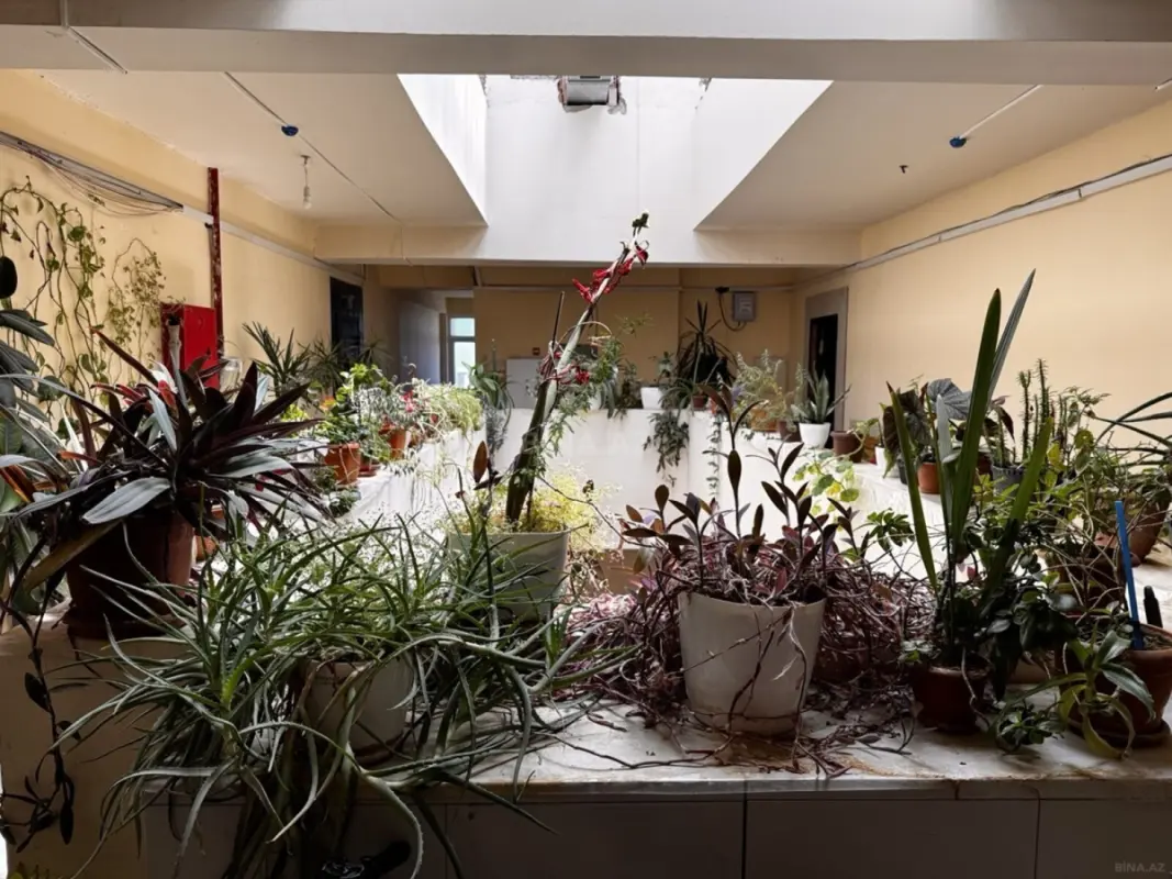 Satılır 2 otaqlı mənzil 90 m²