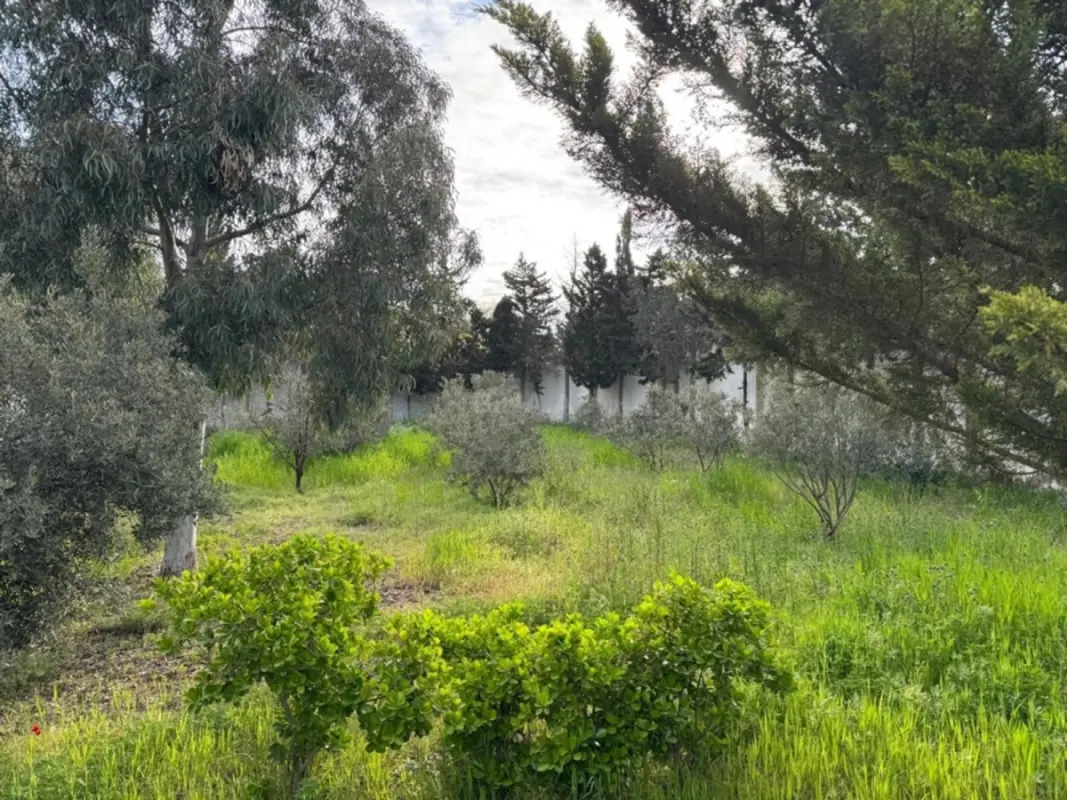 Satılır 4 otaqlı həyət evi 180 m²