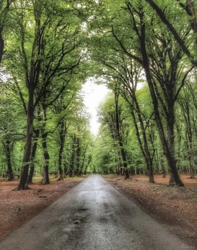 Satılır torpaq sahəsi 10 m²