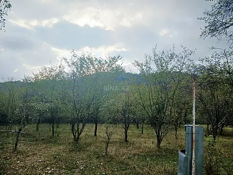 Satılır torpaq sahəsi 10 m² — Qəbələ 10.00 m²