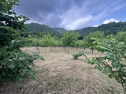 Satılır torpaq sahəsi 36 m² — İsmayıllı 36.00 m²