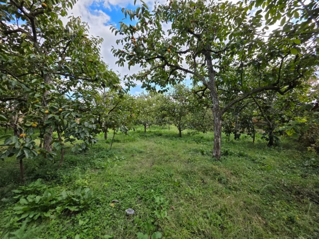 Satılır torpaq sahəsi 40 m²