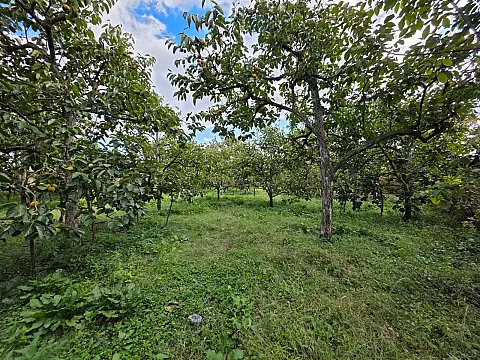 Satılır torpaq sahəsi 40 m² — Göyçay 40.00 m²