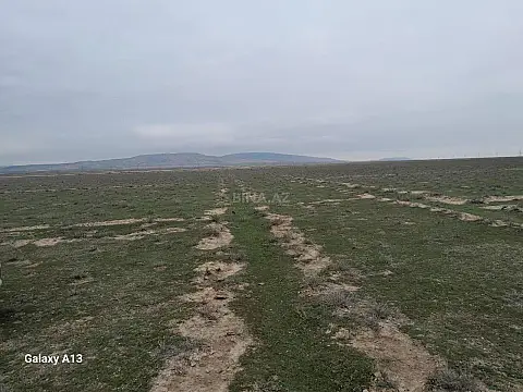 Satılır torpaq sahəsi 6000 m² — Şirvan 6000.00 m²