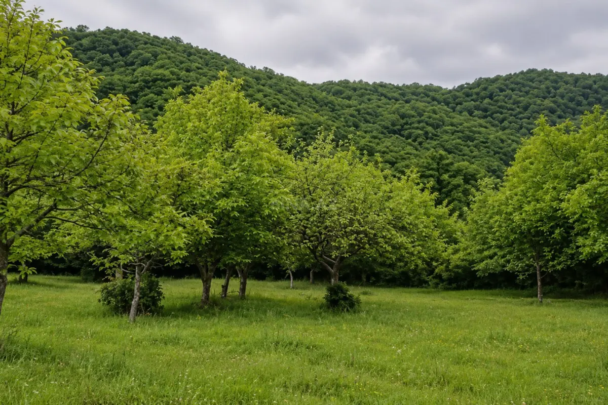 Satılır torpaq sahəsi 7 m²