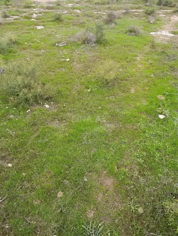Satılır torpaq sahəsi 5.5 m²