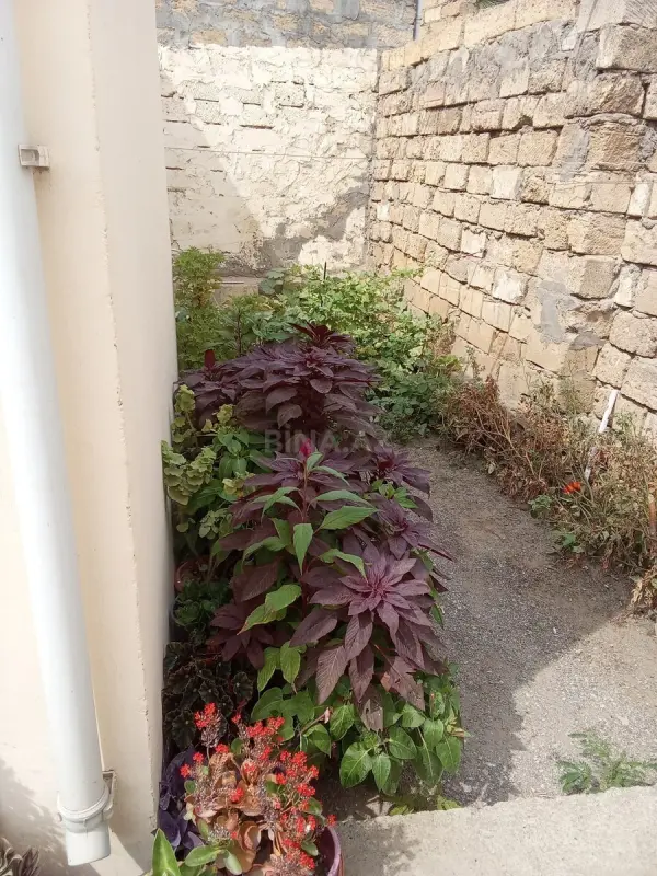 Satılır 3 otaqlı həyət evi 60 m²