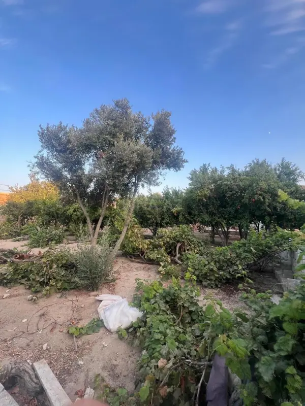 Satılır torpaq sahəsi 7 m²