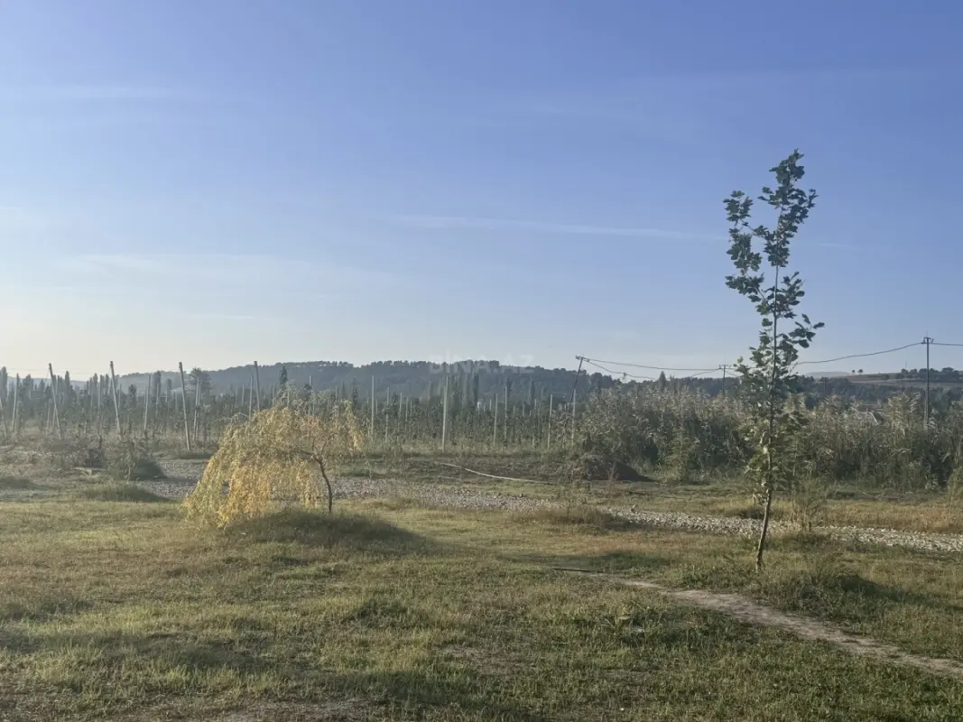 Satılır torpaq sahəsi 800 m²