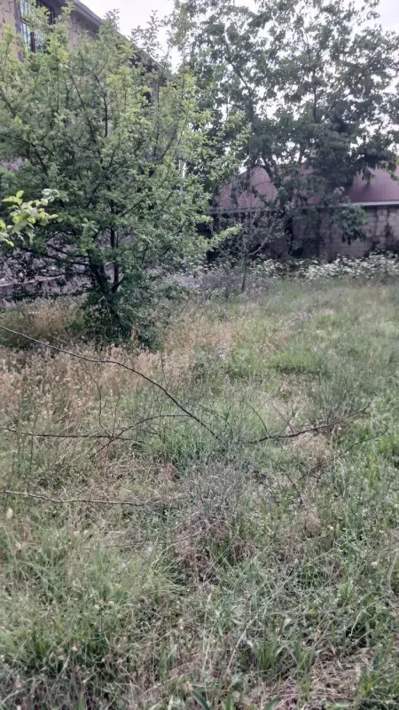 Satılır torpaq sahəsi 5 m²