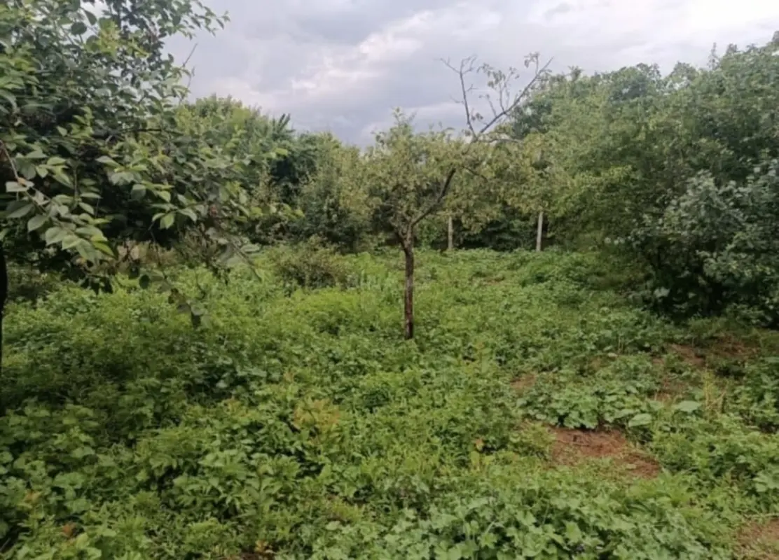 Satılır torpaq sahəsi 3 m²