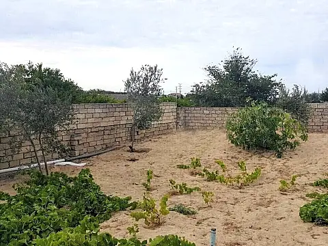 Satılır torpaq sahəsi 12 m² — Bakı, Görədil 12.00 m²