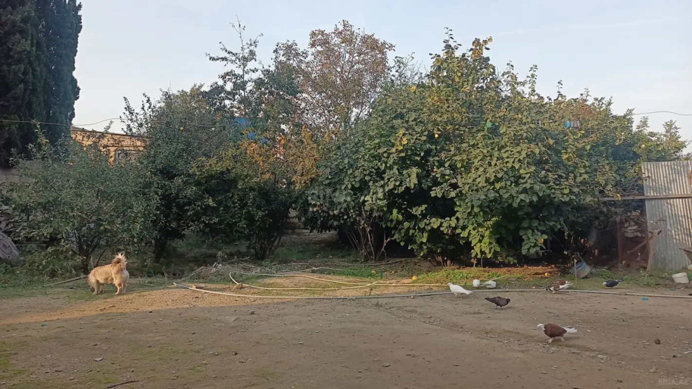 Satılır torpaq sahəsi 4 m²