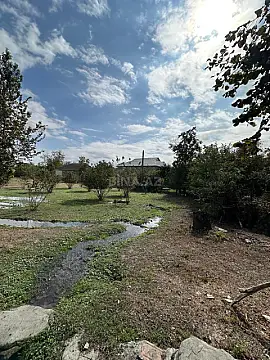 Satılır torpaq sahəsi 60 m² — Qəbələ 60.00 m²