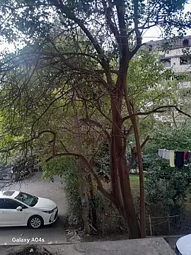 Satılır 2 otaqlı mənzil 50 m² — Bakı 2 otaq 50.00 m²