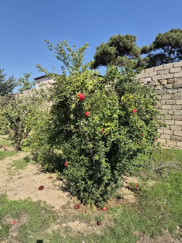 Satılır torpaq sahəsi 11.7 m²