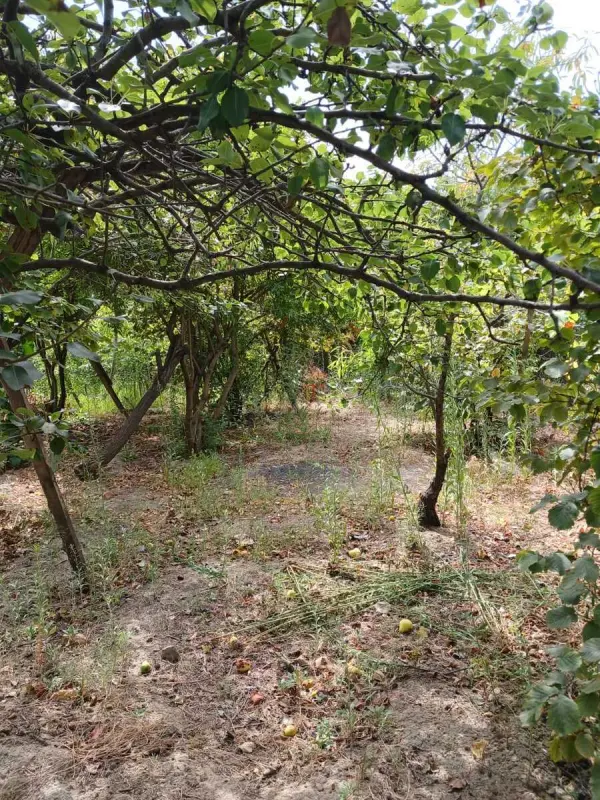 Satılır torpaq sahəsi 5.5 m²