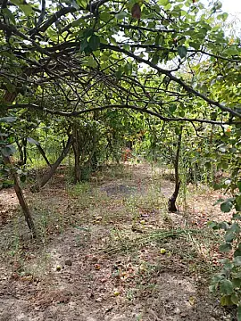 Satılır torpaq sahəsi 5.5 m² — Bakı, Biləcəri 5.50 m²