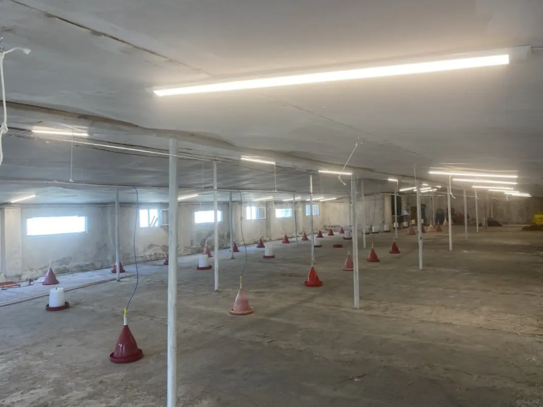 Kirayə verilir obyekt 650 m²