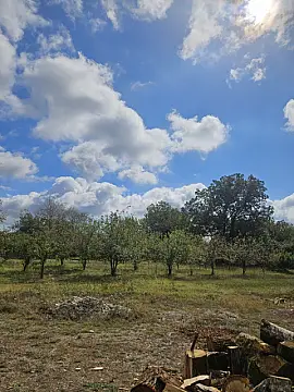 Satılır torpaq sahəsi 5 m² — Qəbələ 5.00 m²