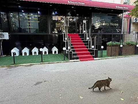 Kirayə verilir obyekt 200 m² — Bakı 200.00 m²