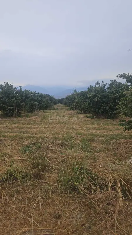 Satılır torpaq sahəsi 650 m²