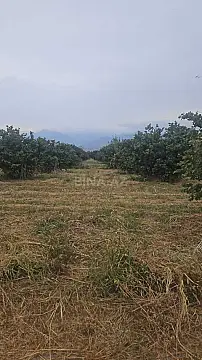 Satılır torpaq sahəsi 650 m² — Şəki 650.00 m²