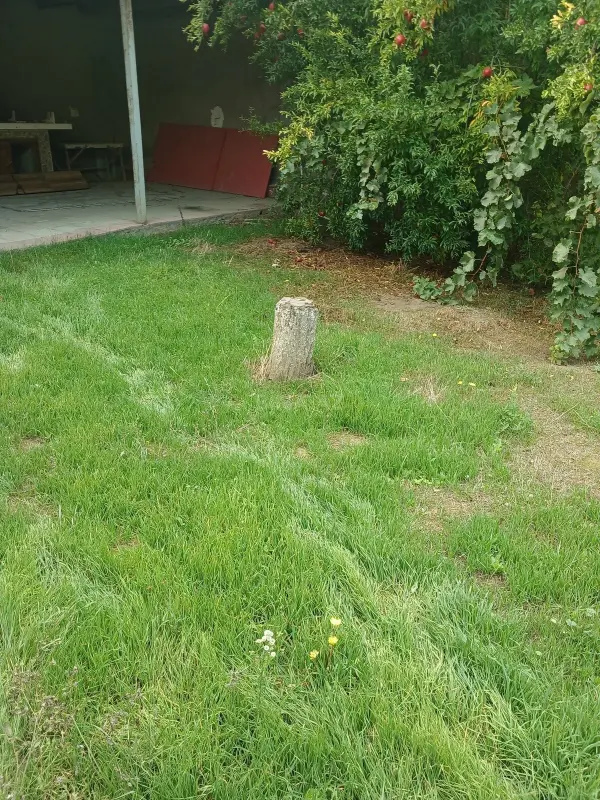 Satılır torpaq sahəsi 9.5 m²