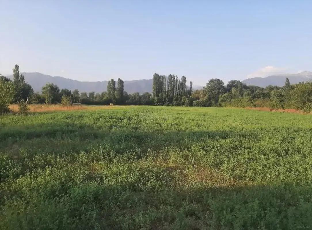 Satılır torpaq sahəsi 155 m²