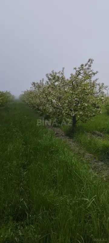 Satılır torpaq sahəsi 115 m²