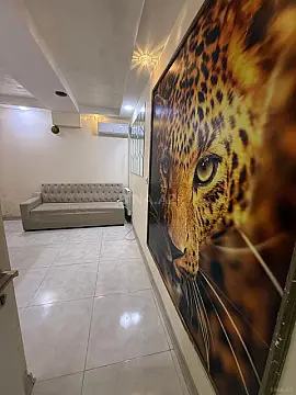 Kirayə verilir obyekt 30 m² — Bakı 30.00 m²
